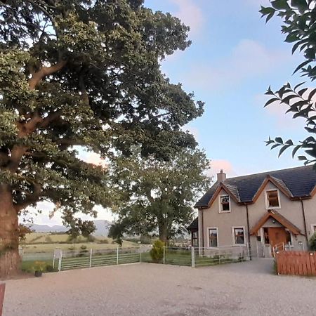 Villa Oaktree Manor Castlewellan Exterior foto