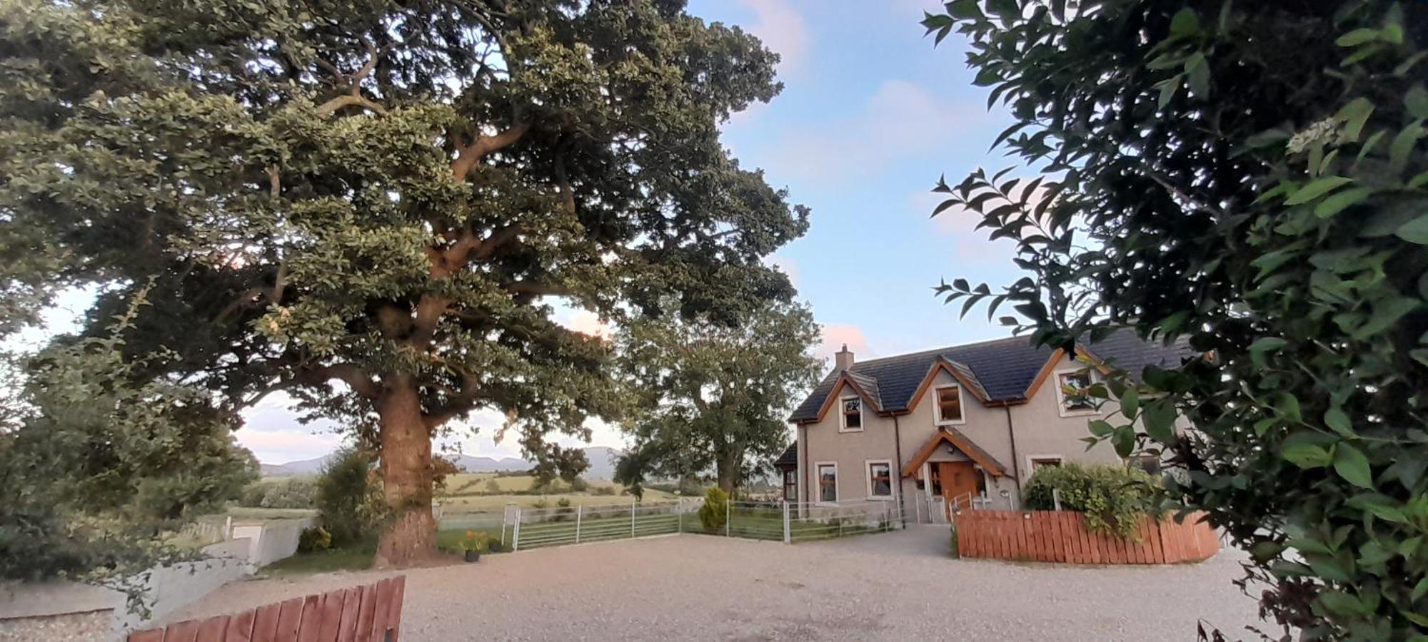 Villa Oaktree Manor Castlewellan Exterior foto