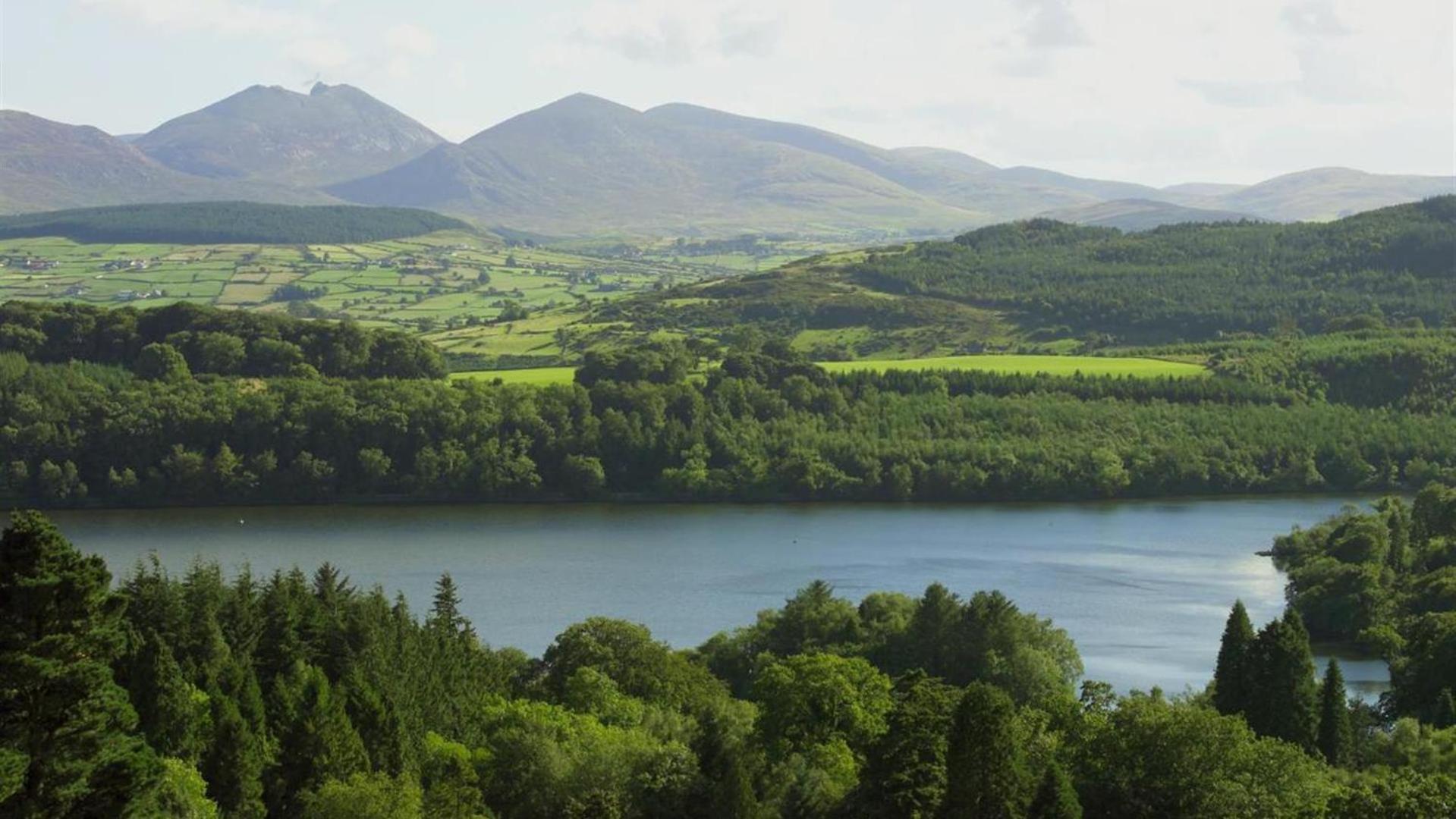 Villa Oaktree Manor Castlewellan Exterior foto