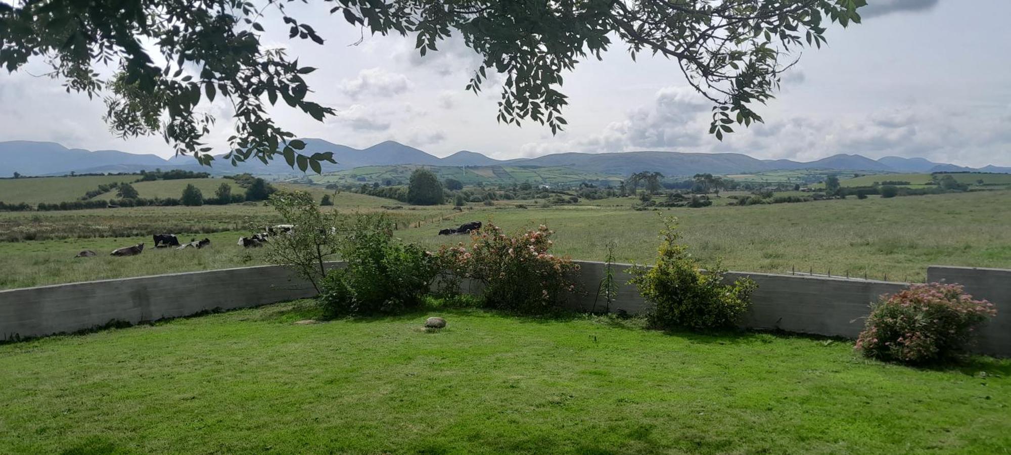 Villa Oaktree Manor Castlewellan Exterior foto