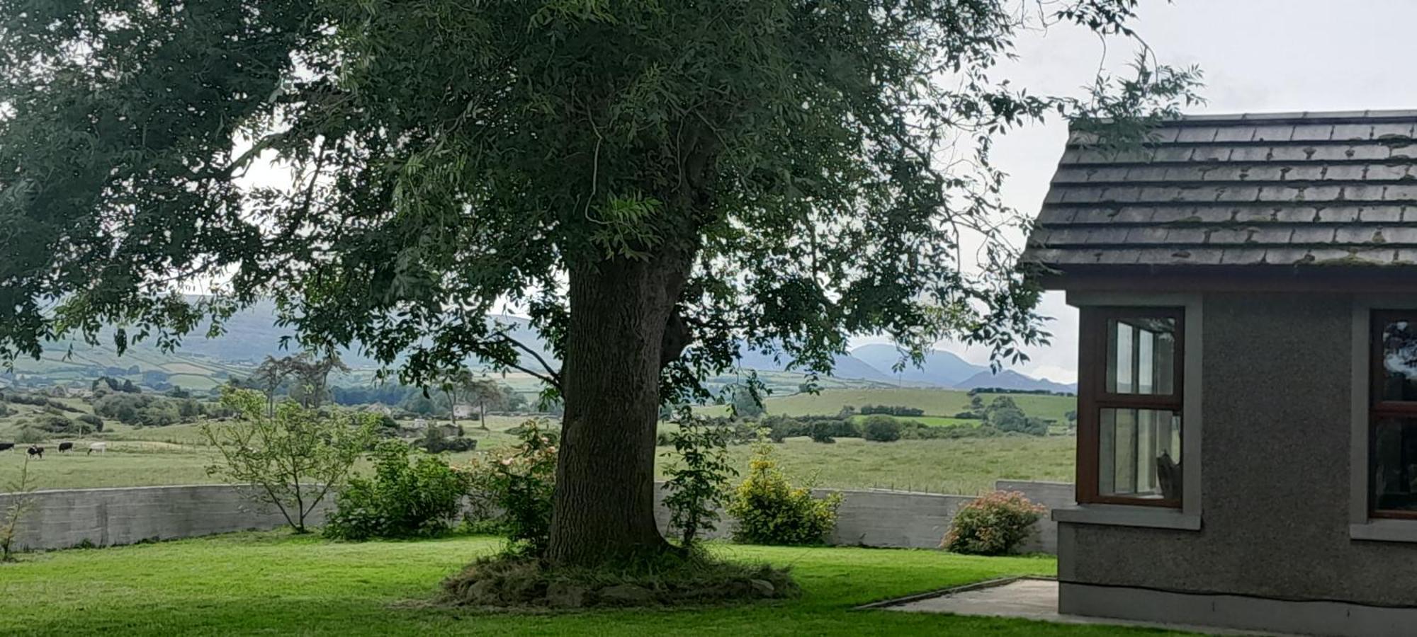 Villa Oaktree Manor Castlewellan Exterior foto