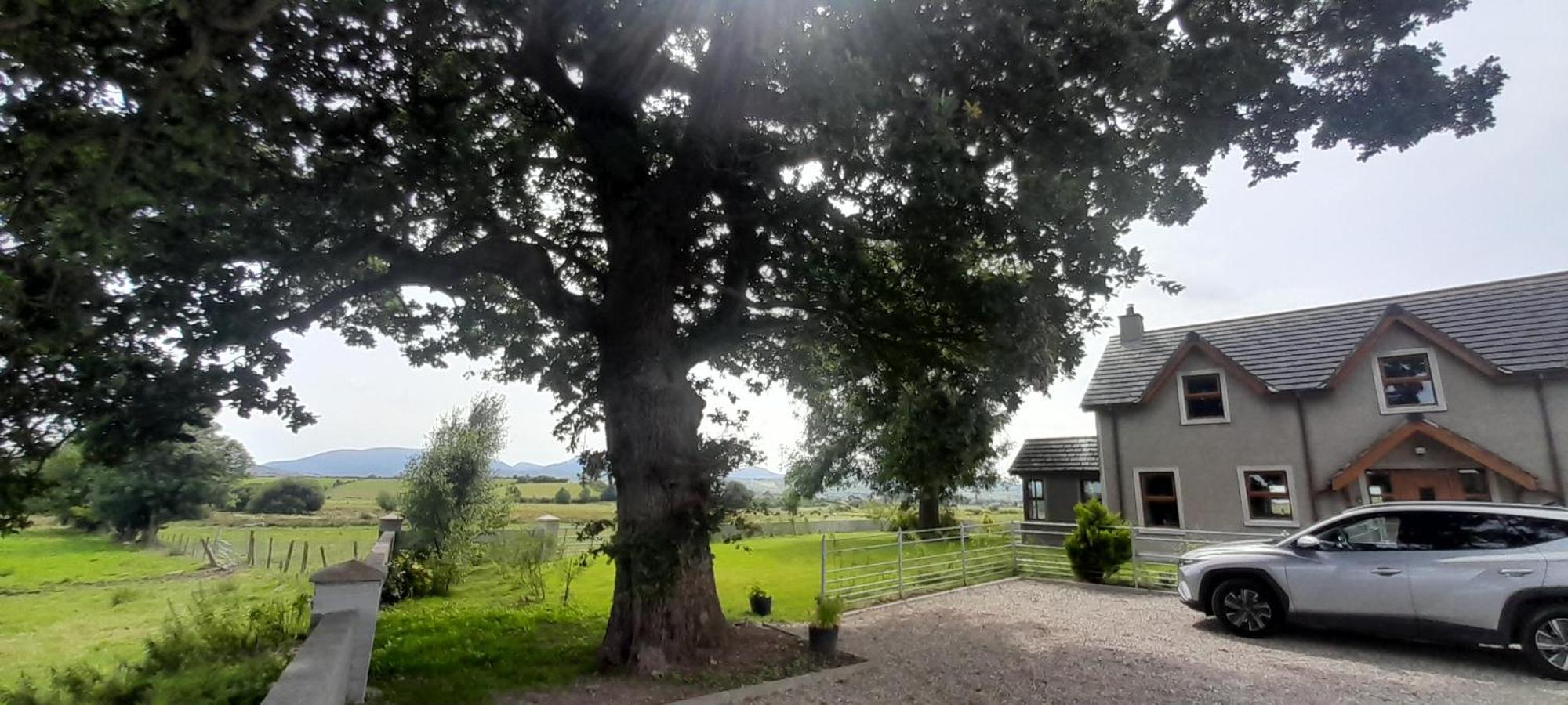 Villa Oaktree Manor Castlewellan Exterior foto